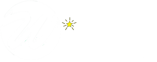 Widgetry Product Development